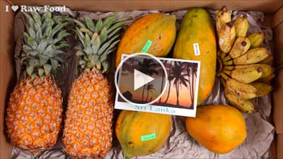 Unboxing Fruchtlavine