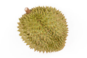 durian