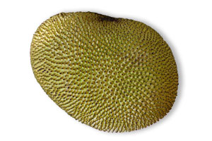 dżakfrut