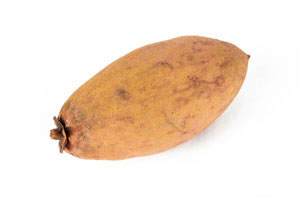 sapodilla